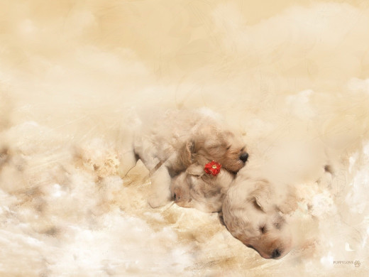 360088 (a): :1600x1200